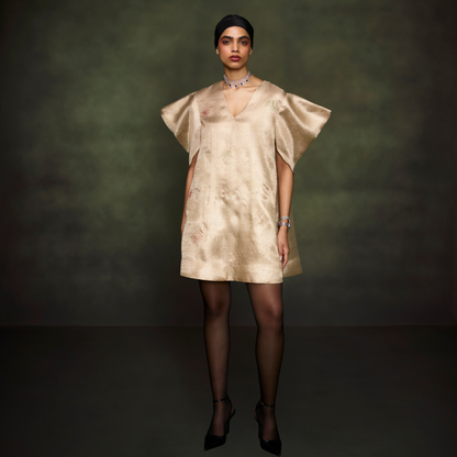 Tissue Embellished Dress