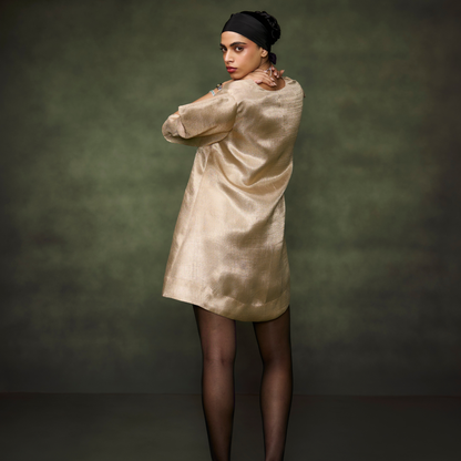Tissue Embellished Dress