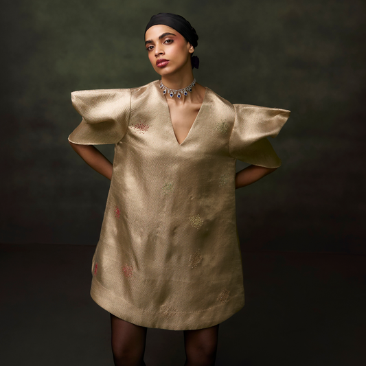 Tissue Embellished Dress