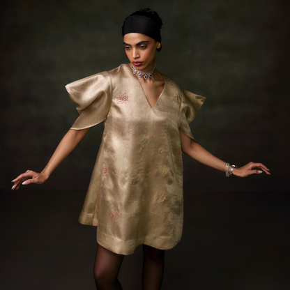 Tissue Embellished Dress