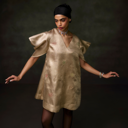 Tissue Embellished Dress